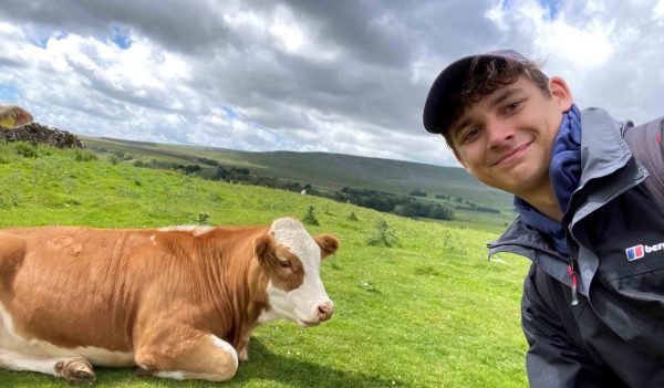 Balint Sido in a field next to a brown cow laying down