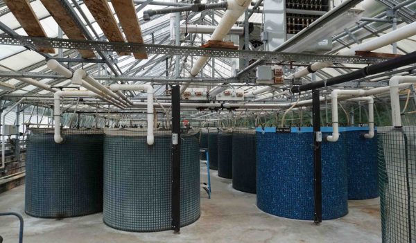  Water filtration tanks within the facility.                         