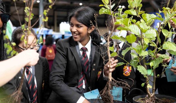 Students planting trees.