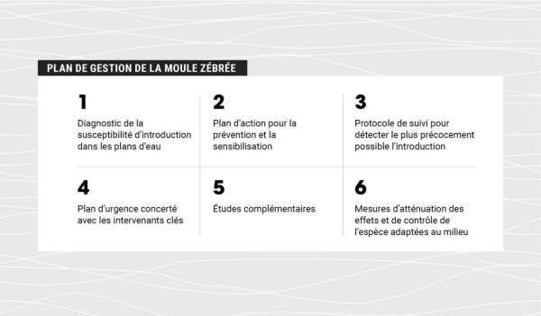 Graphic table