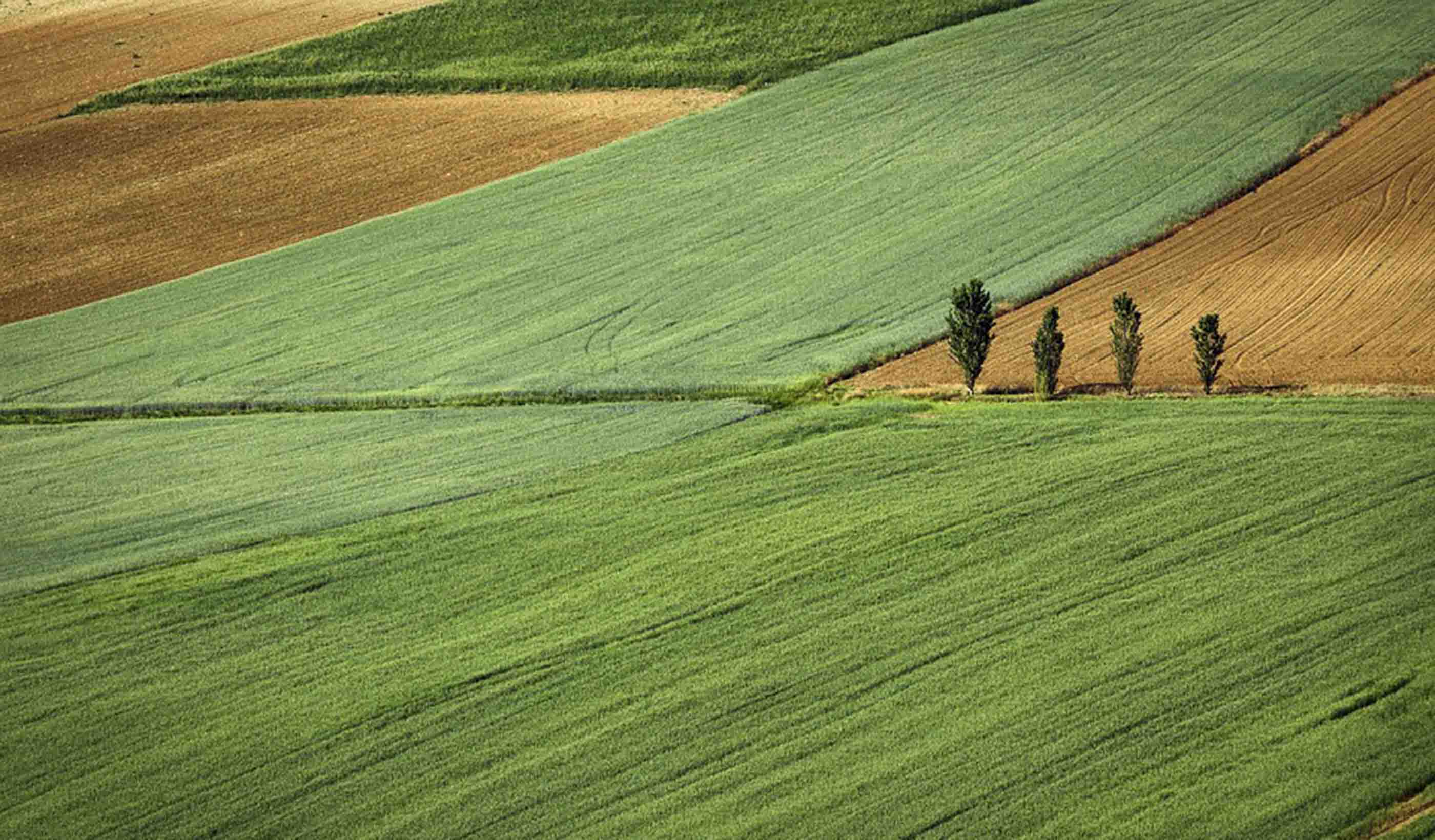 Contaminazione storica in un sito: un dibattito ancora aperto