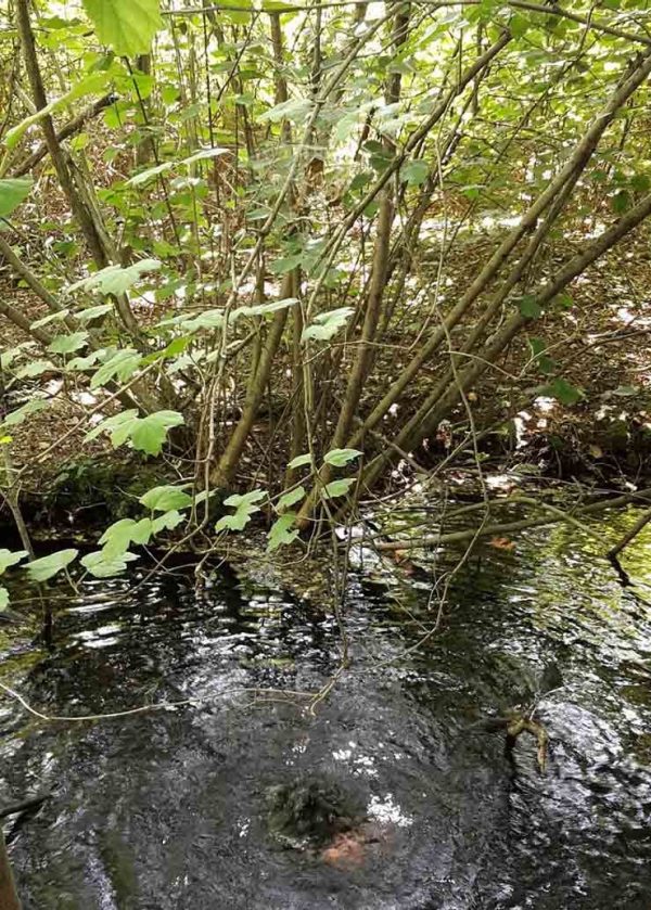 hydrogeological fountain in small stream