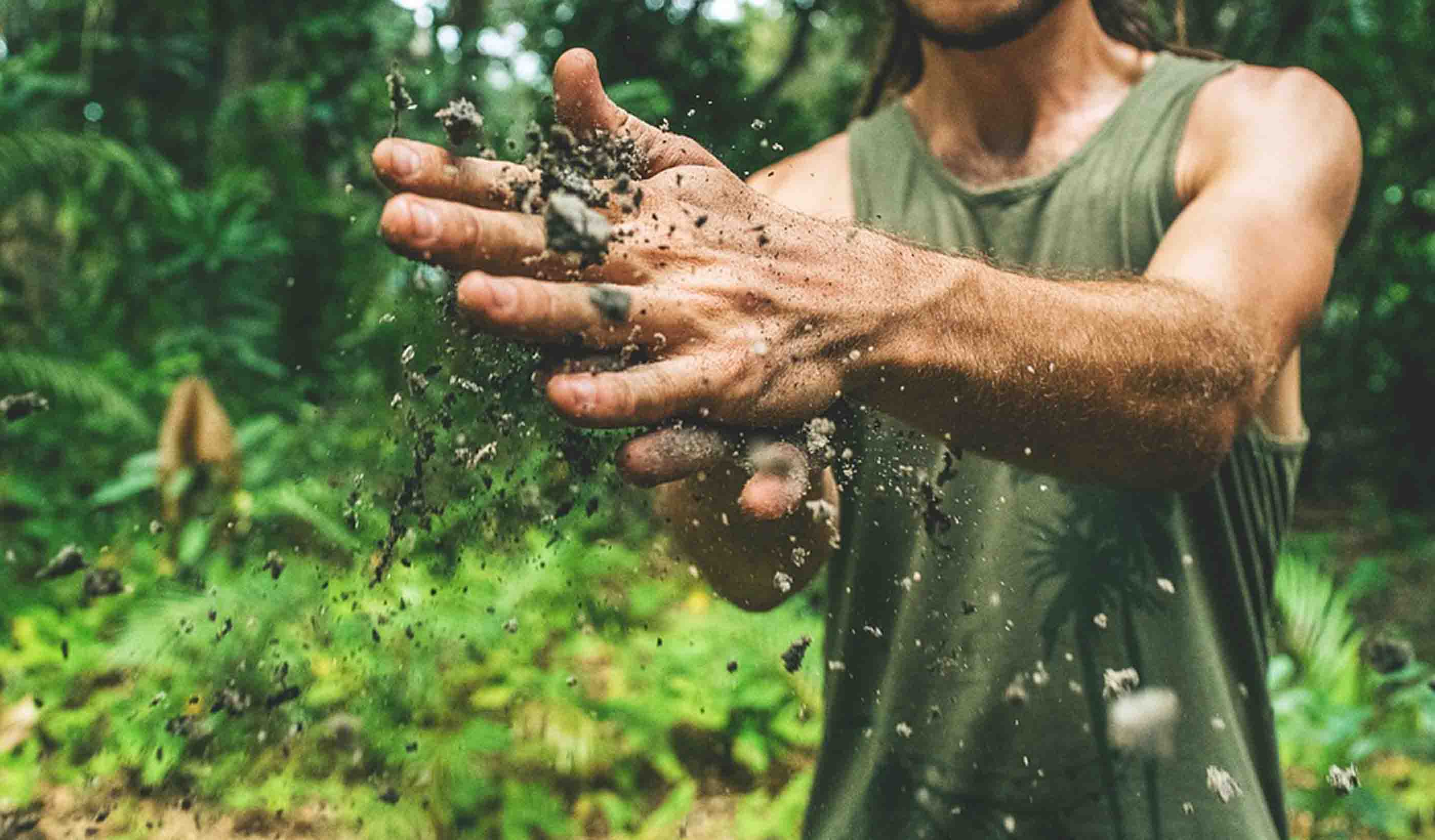 Terreno contaminato da terzi: quali obblighi per il proprietario?