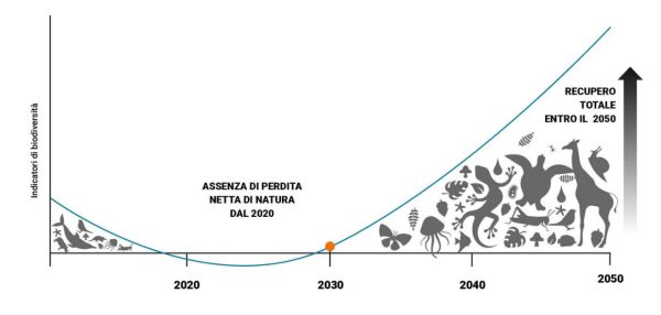 Nature Positive Graphic Chart