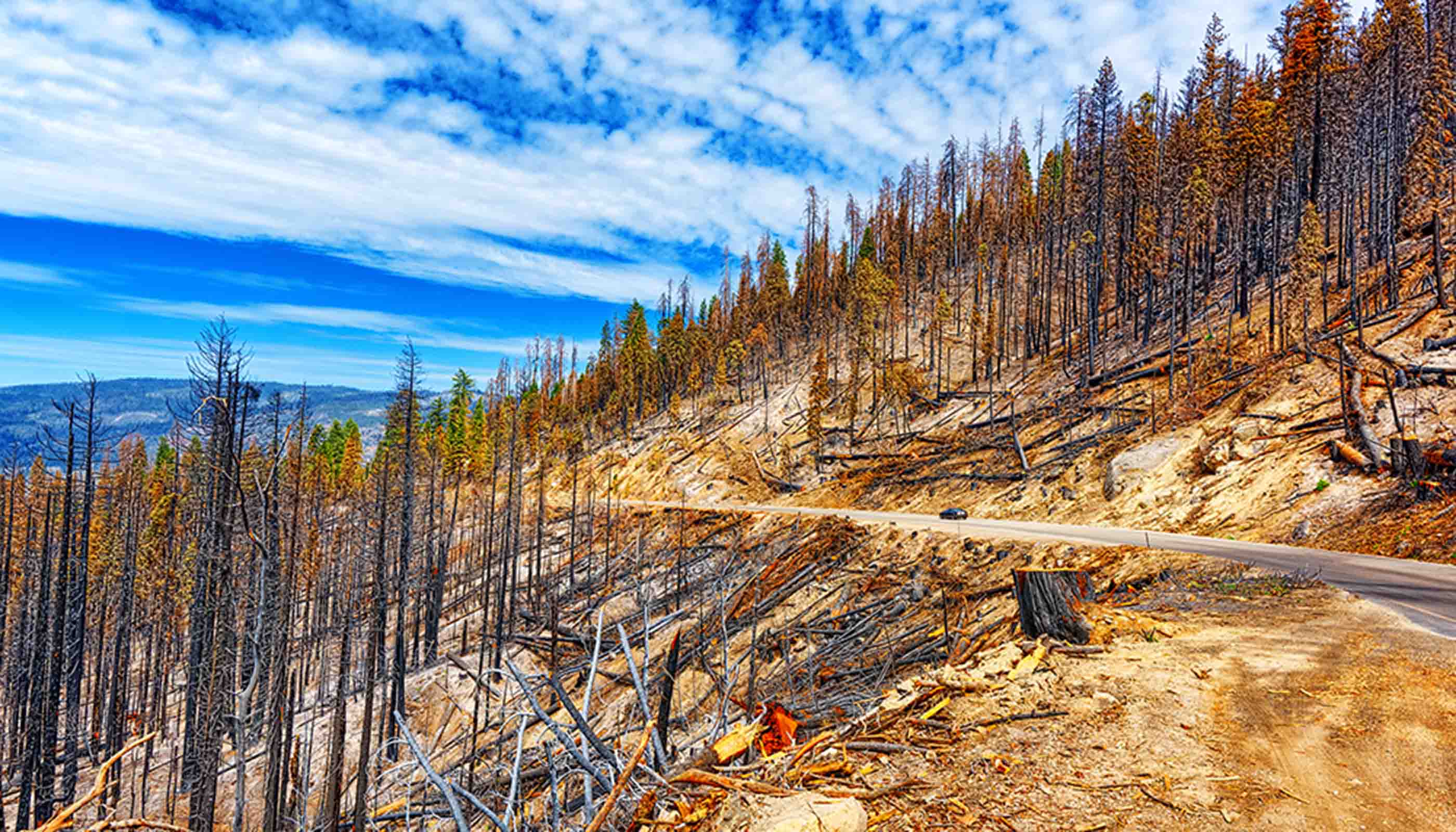 Modeling Post-Wildfire Debris Flow Erosion for Hazard Assessment