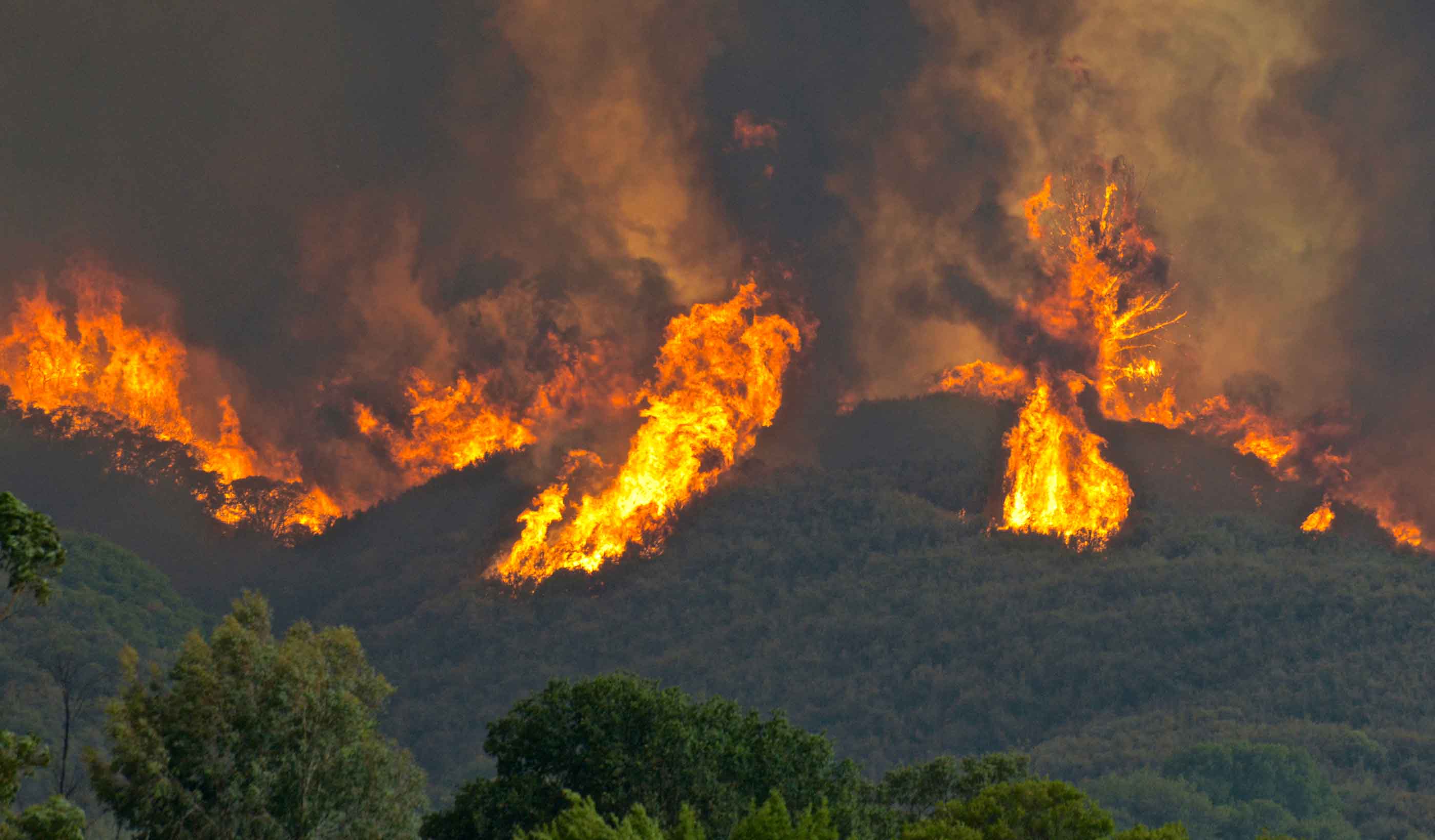 Informing zoning ordinance decision-making with the aid of probabilistic debris flow modeling