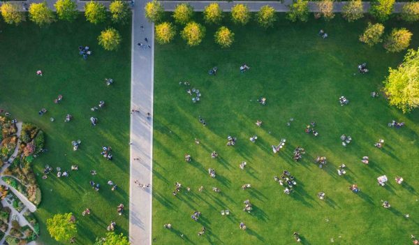 Top view of the many people are resting on the lawn in the park
