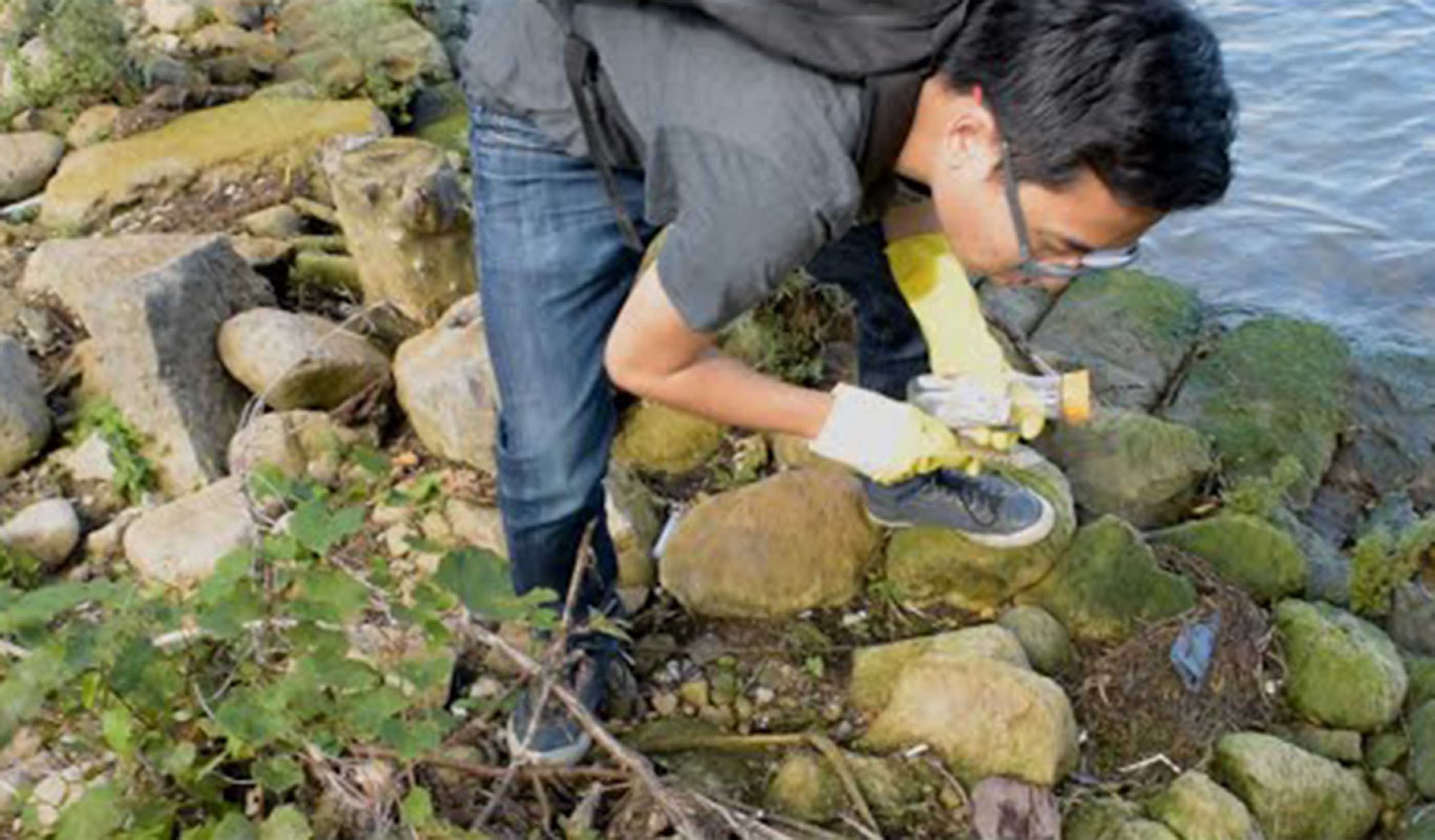 Stantec in the Community: Shoreline cleanup