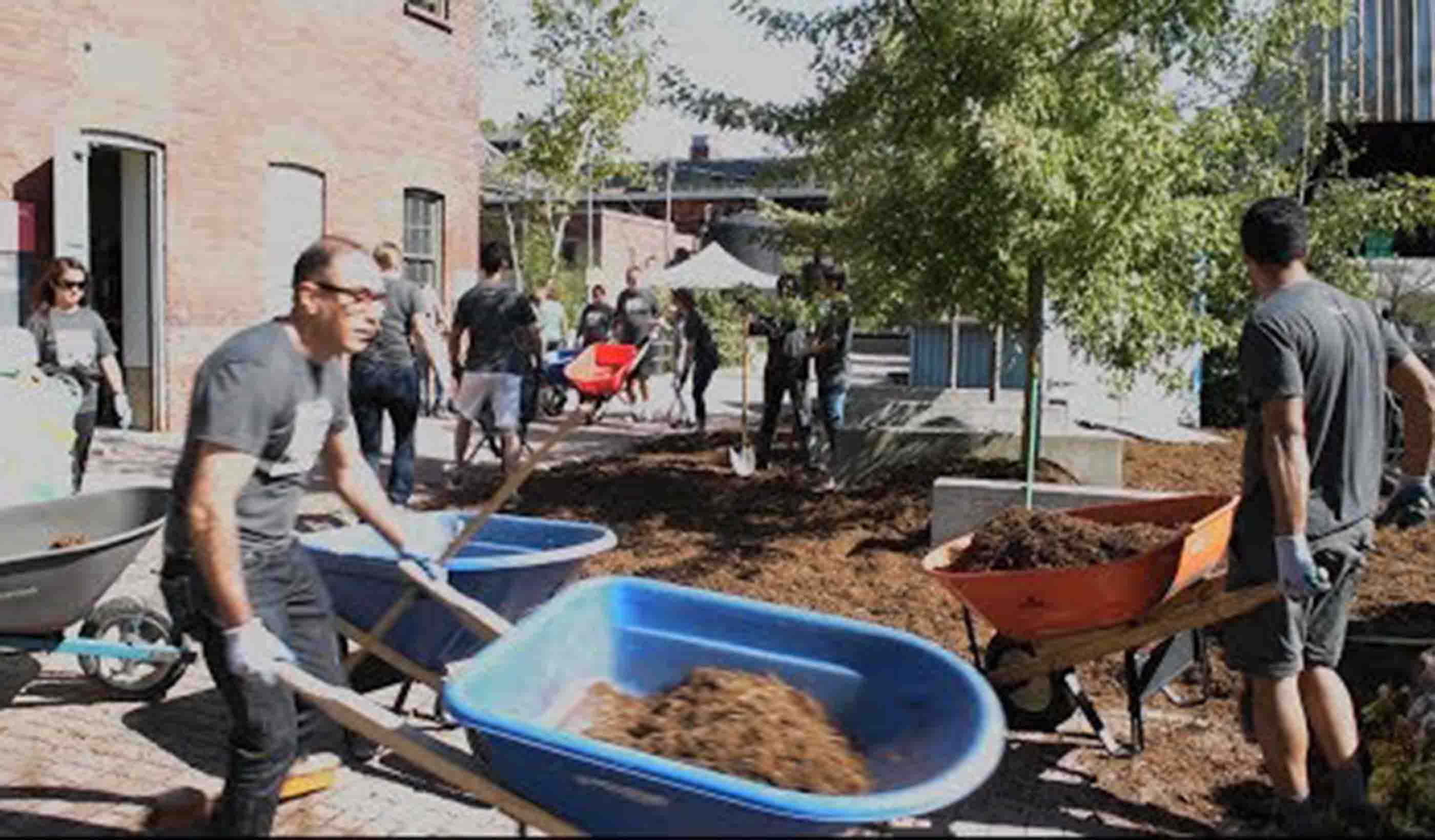 Stantec in the Community: Mulching in Toronto