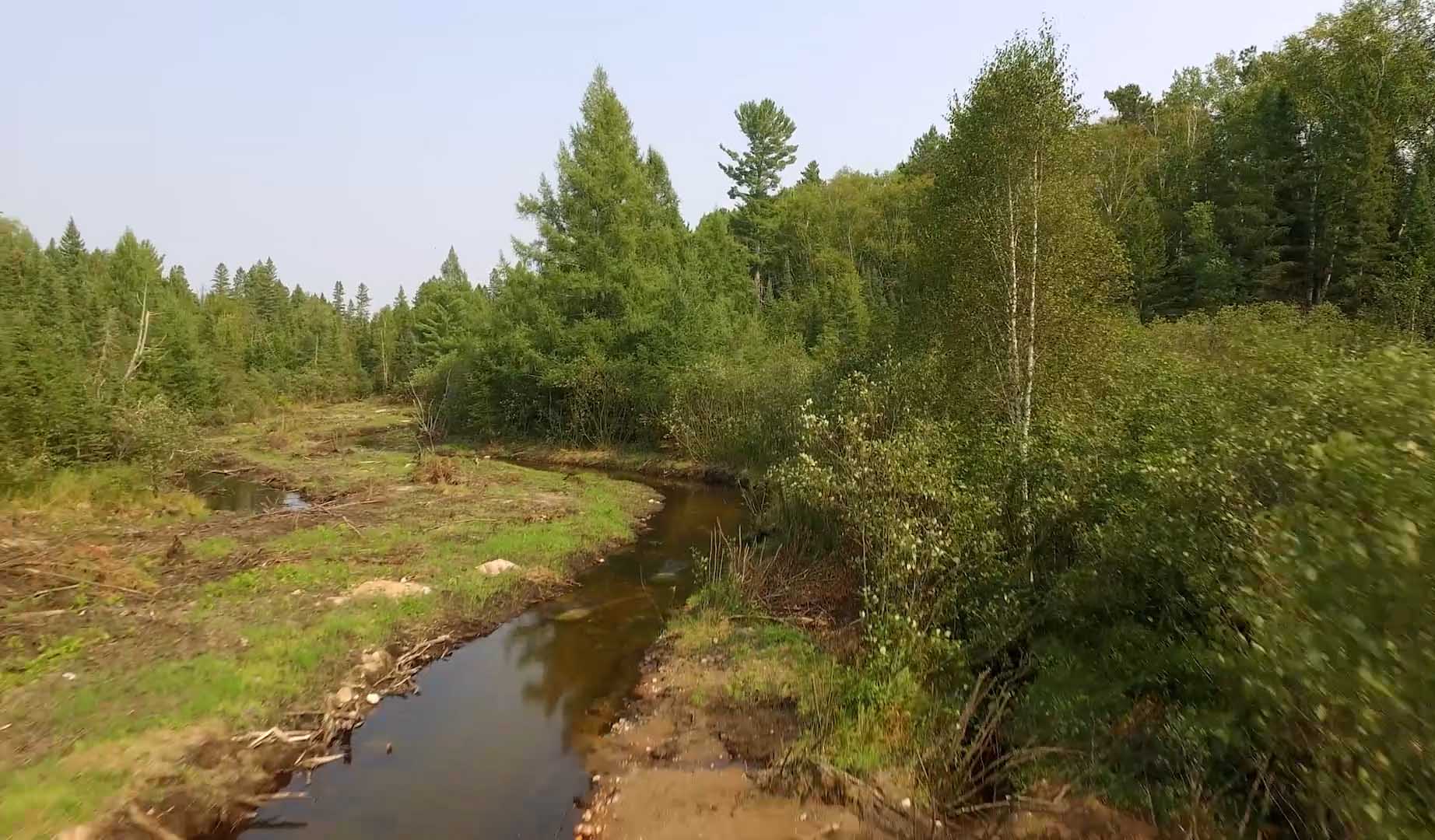 Stantec welcomes you to the Decade on Ecosystem Restoration