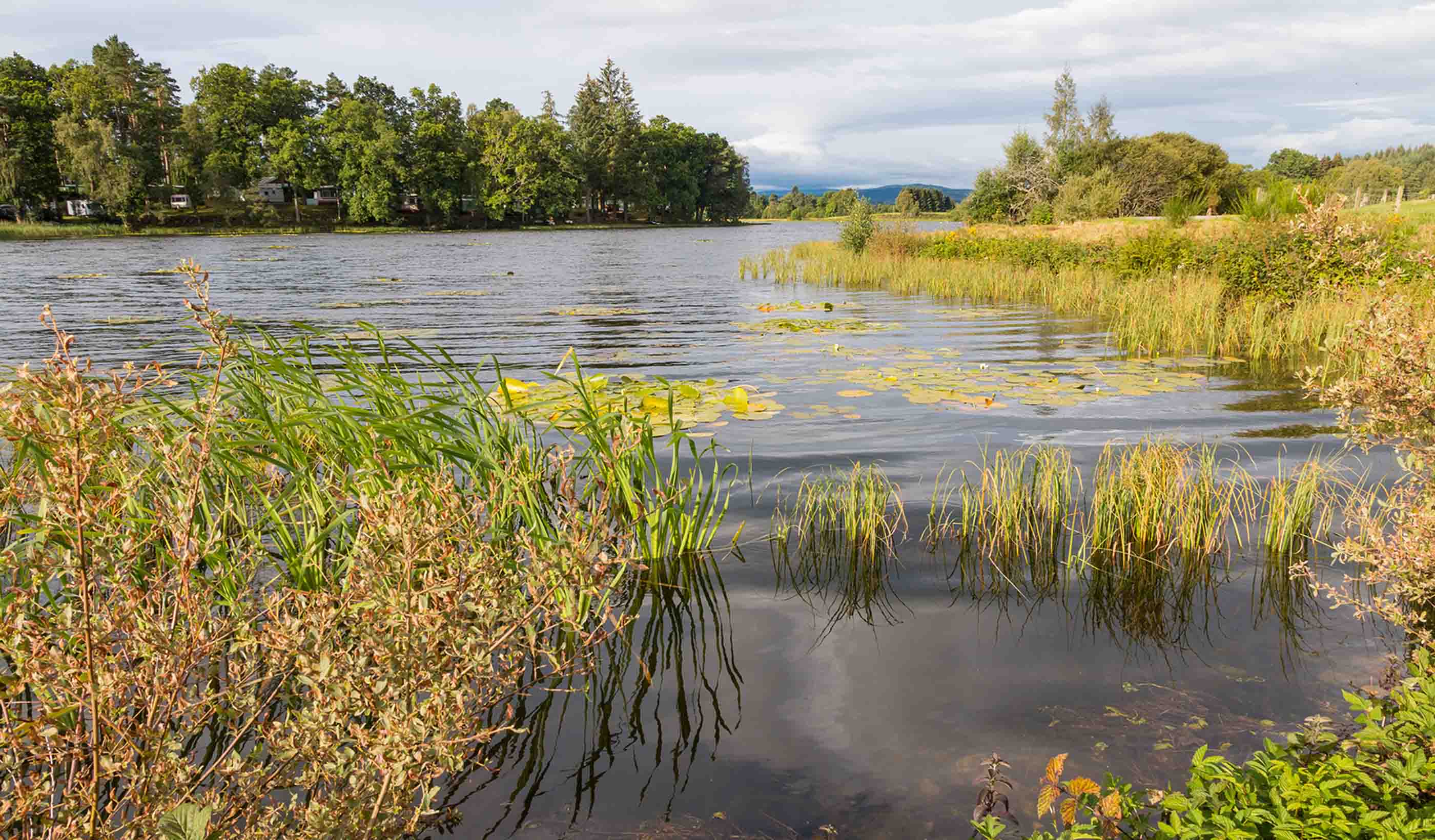 Catchment System Opportunities