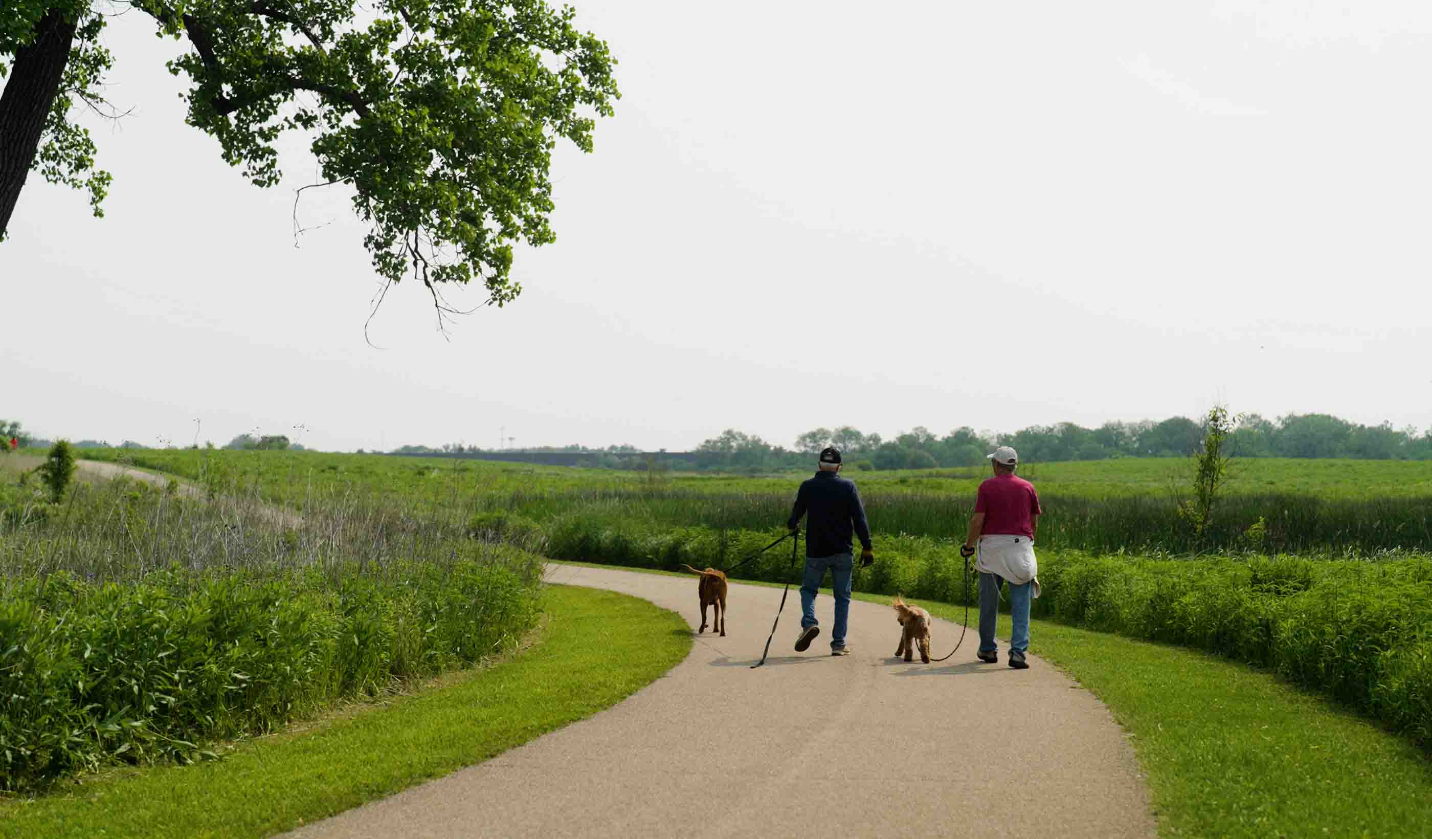 How nature-based solutions deliver ROI, resilience, and community benefits