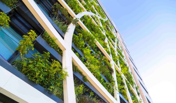 Detail from a living wall covered with variety of plants, flowers and grass, eco-friendly urban architecture in Tel Aviv, Israel