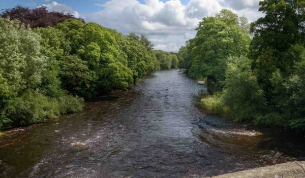 Yorkshire river water stream with trees on either side 