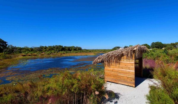 Birds nest area along water resource area