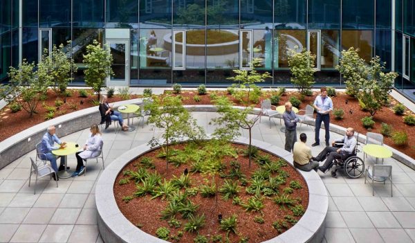 Exterior outdoor courtyard with landscaping and seating.