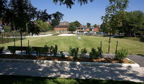 A park in front of homes