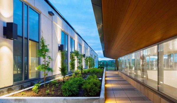 Exterior walkway at dusk with landscaping between two buildings. 