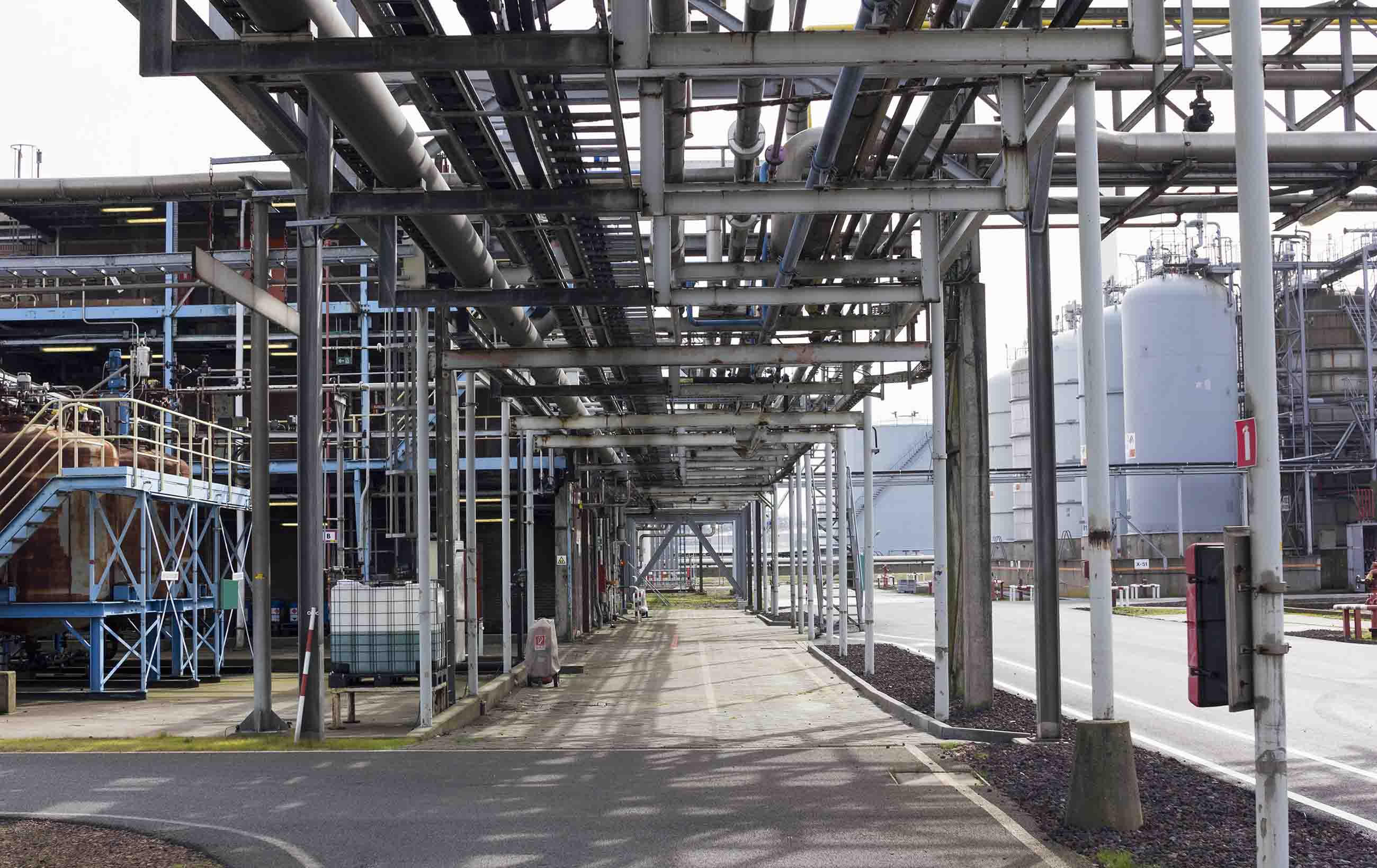 Onze projecten
