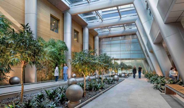 Interior walkway with trees