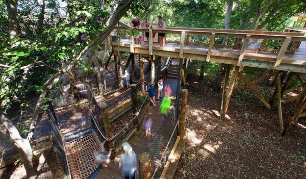 People on the wooden walk structure