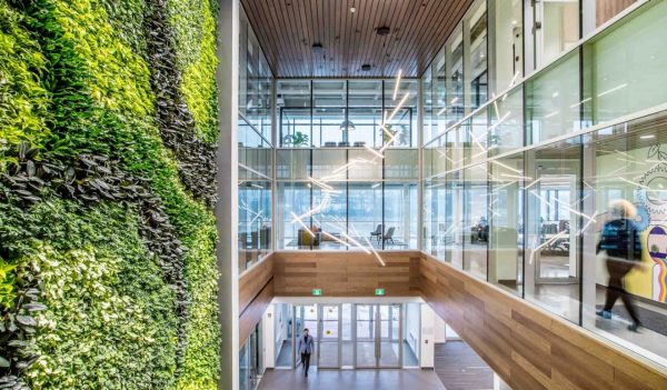 Interior entrance with multi-levels and green plant wall