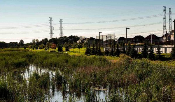 Subdivison with pond and plantings and hydro lines in the background