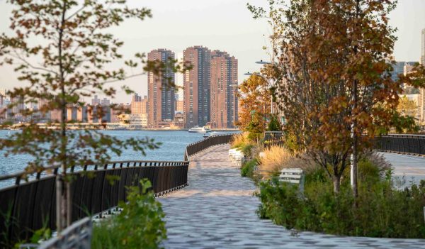 Walking/cycling pathway along the water with seating and greenery