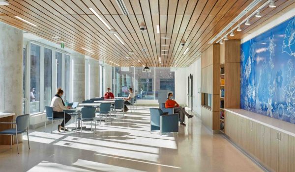 Corridor with full height windows and tables and seating