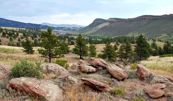 Image of land around reservoir