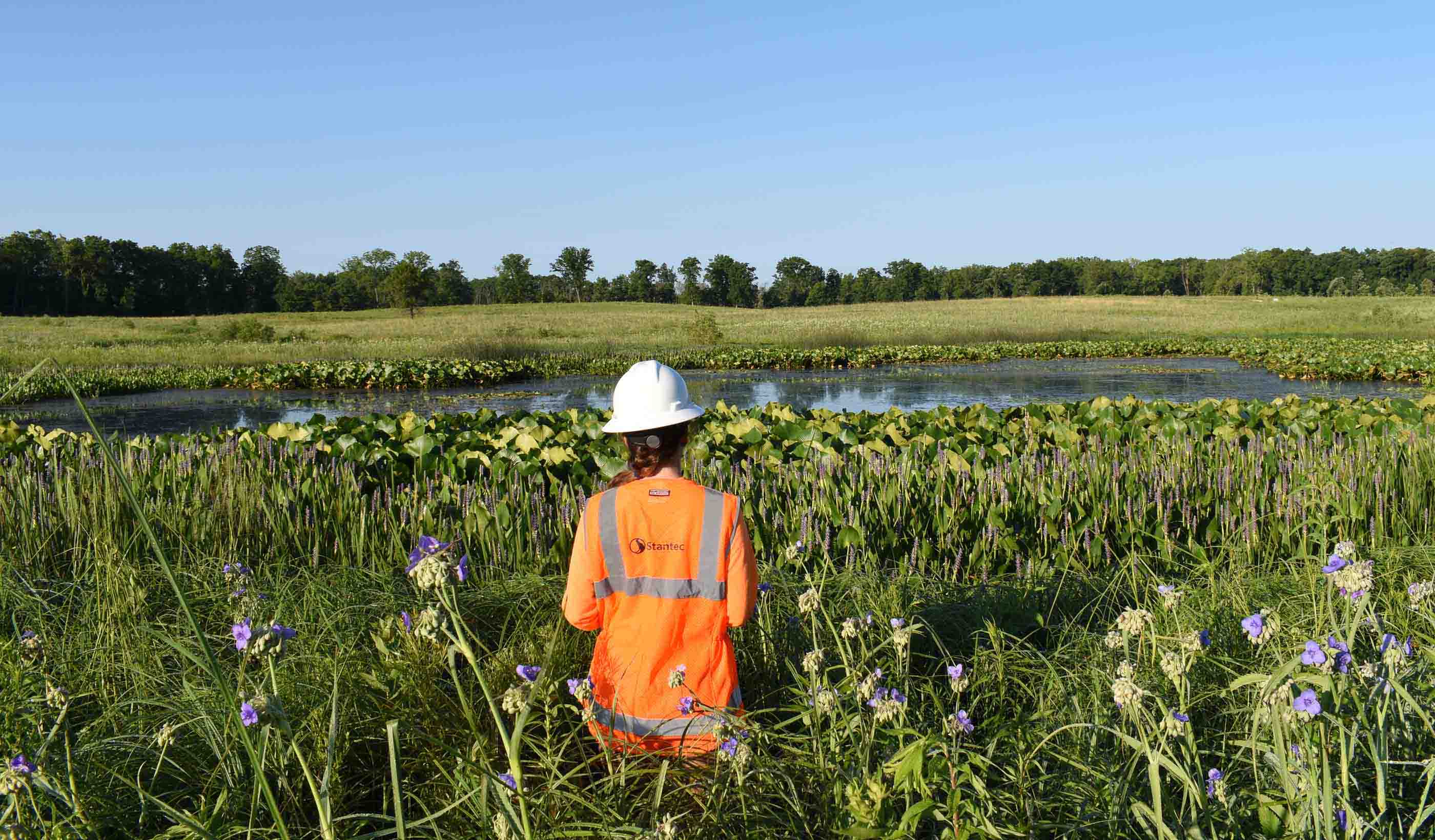 What role should the energy industry play in a sustainable future?