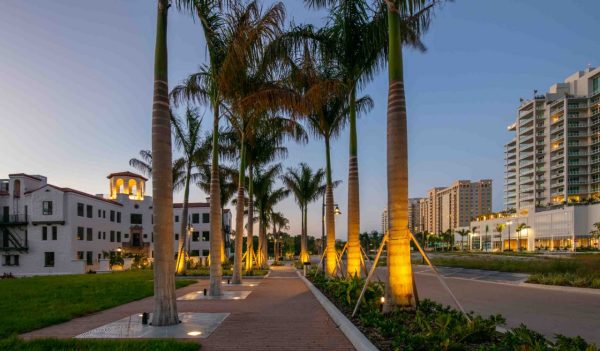 A view of a palm tree lined sidewalk and apartments on each side