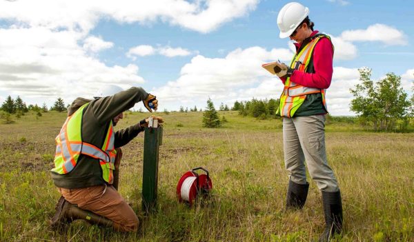 Environmental scientists gathering samples.