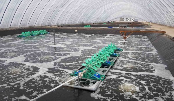 Aquaculture habitat.