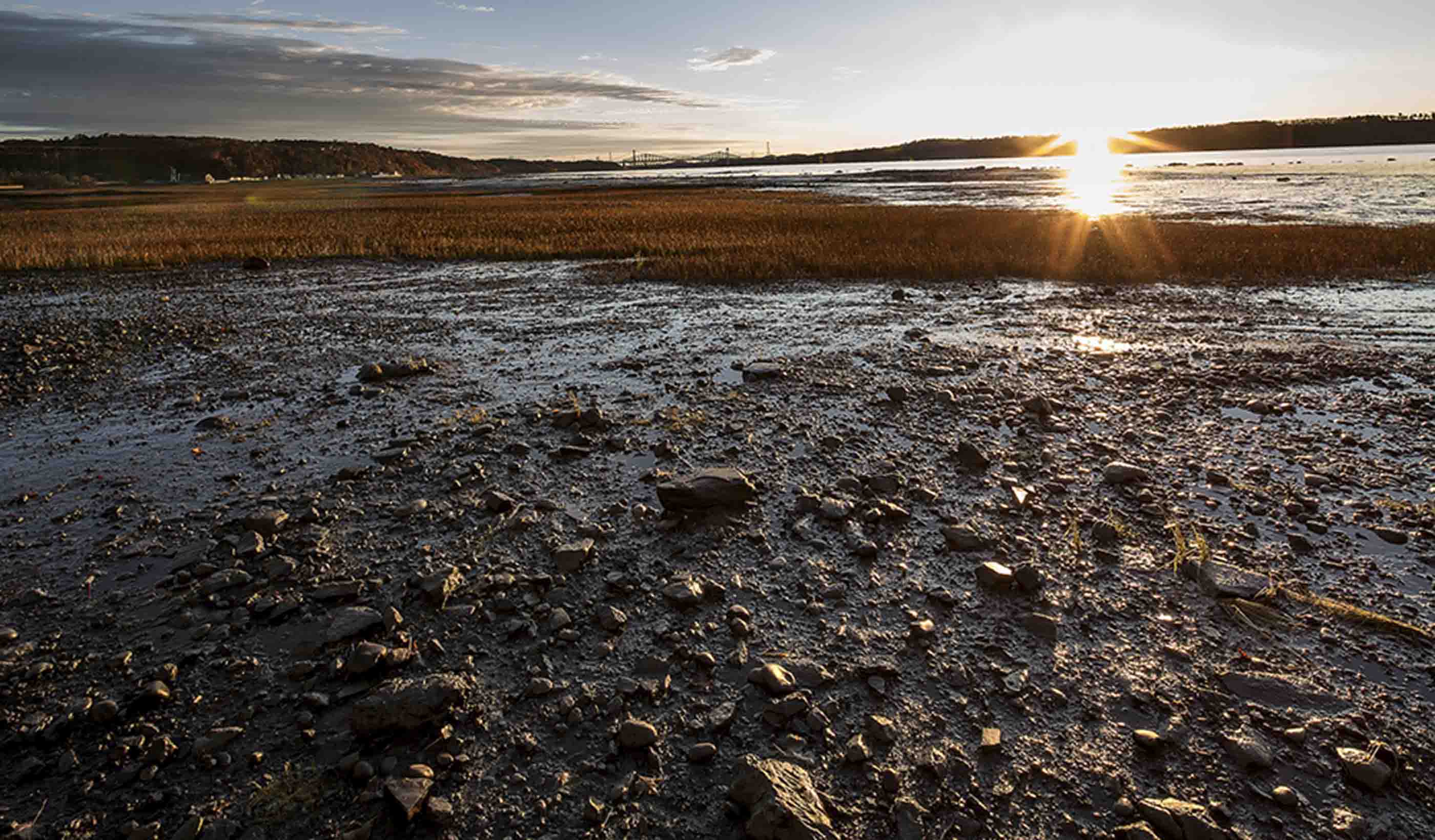 ​Lire d’autres histoires sur les relations clients