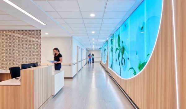 Nurses station and corridor with decorative wall