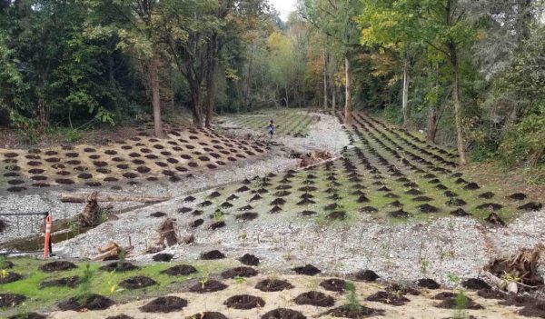 New Culvert designed for fish passage.