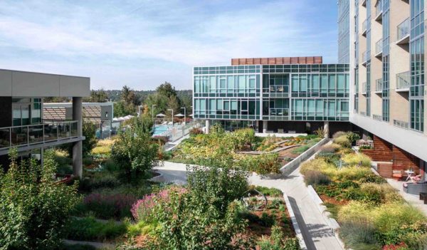 Exterior view of landscaped courtyard between buildings.