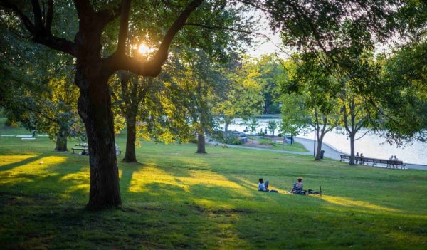 A park with people, pathway, trees, and a lake