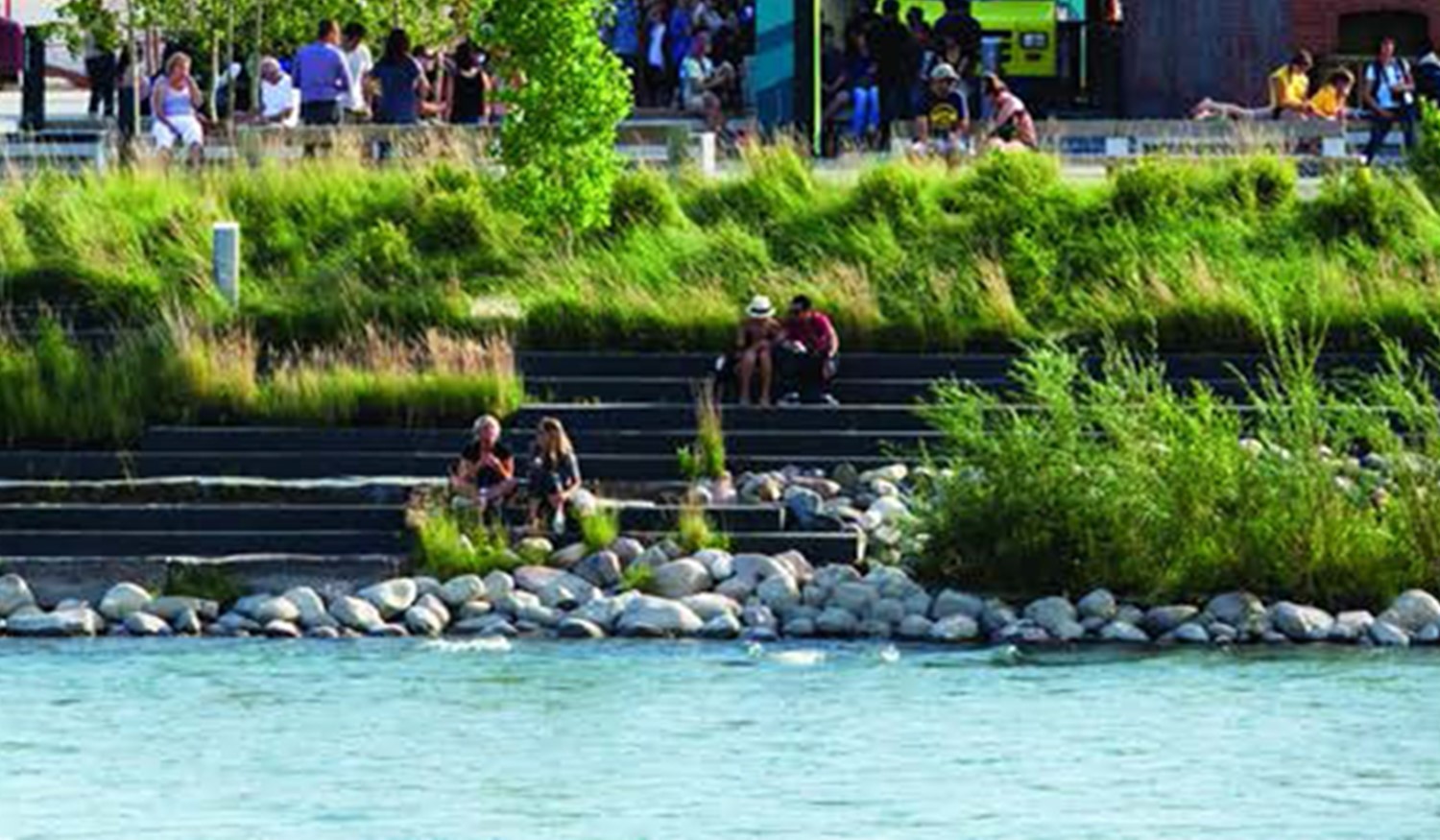 Turning the tide: Helping shoreline communities create ecologically balanced seawalls