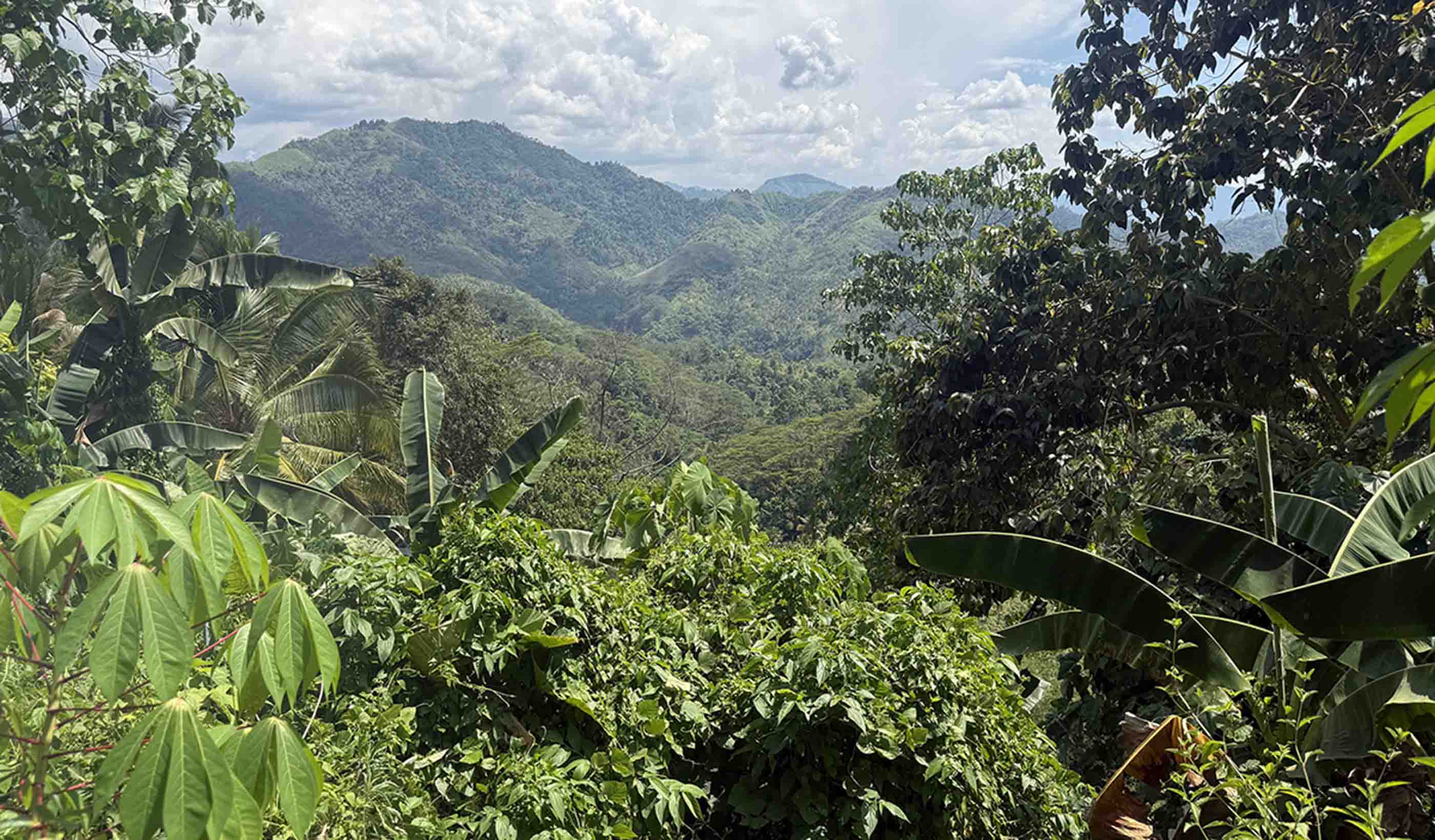 Read other client stories