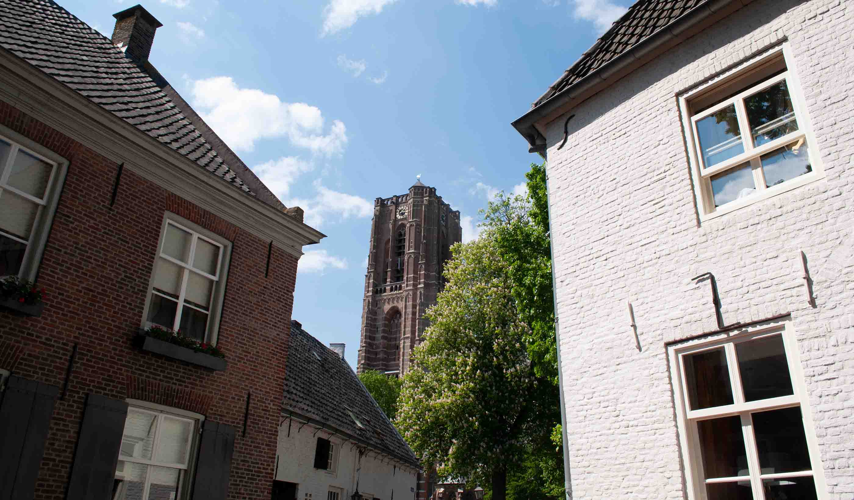 Gerelateerde projecten