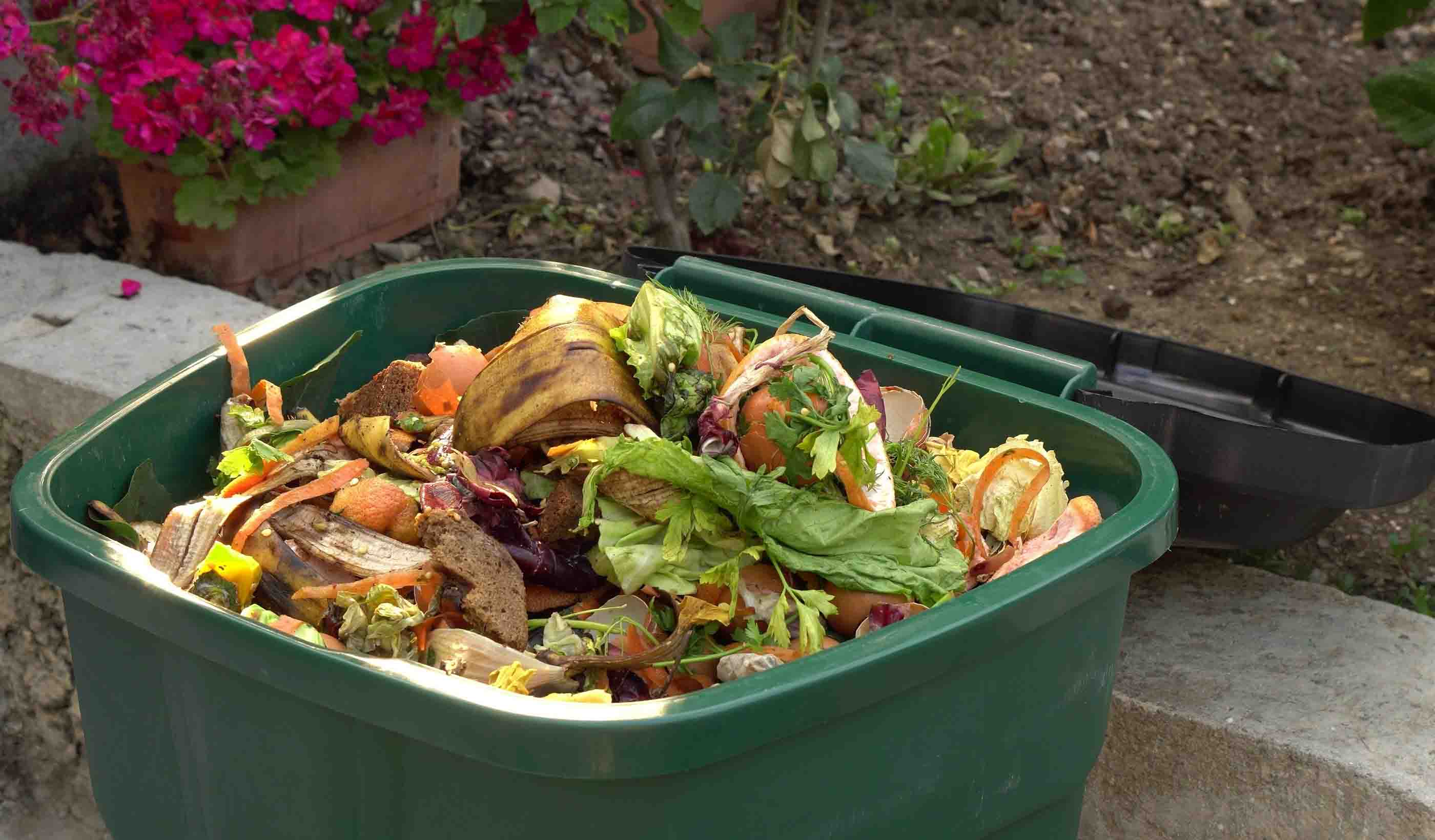 Food for thought: The growing need for anaerobic digestion in England